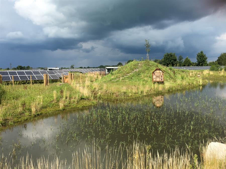 Bericht Solarpark De Kwekerij: meest biodiverse zonnepark van Nederland bekijken